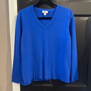 Style & Co. Vibrant Blue V-Neck Sweater